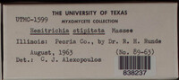 Image Associated With the Occurence